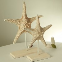 Custom home decor art artificial starfish statue